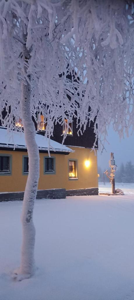 Berggasthof Neues Haus Oberwiesenthal Εξωτερικό φωτογραφία